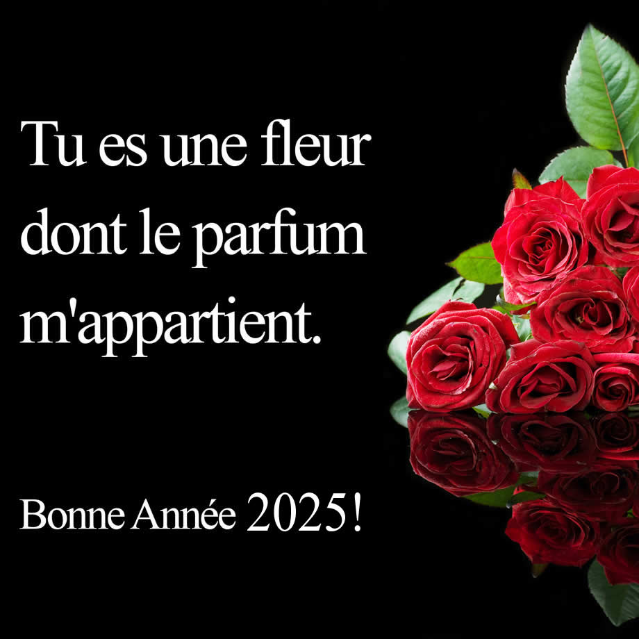 Textes romantique avec un bouquet de roses rouges pour des voeux pour 2025