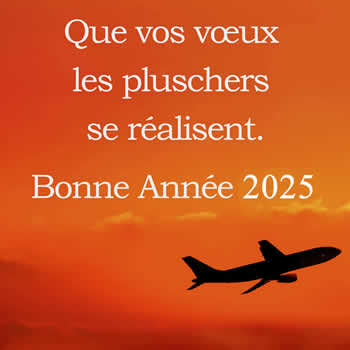 carte de bienvenue jusqu'en 2025 avec une phrase de bons voeux et un avion en vol