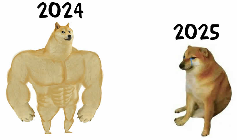 image drôle de doge avec comparaison de la nouvelle année 2025